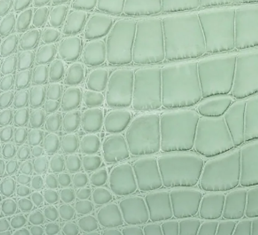 Matte Alligator