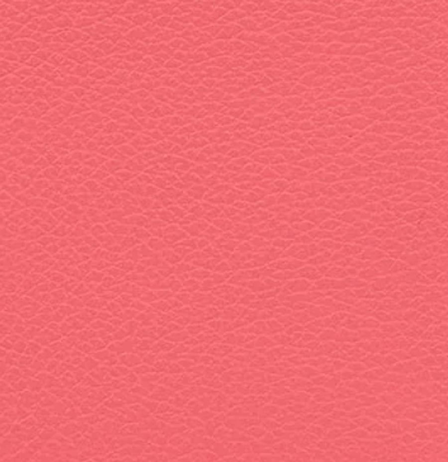 Evercolor