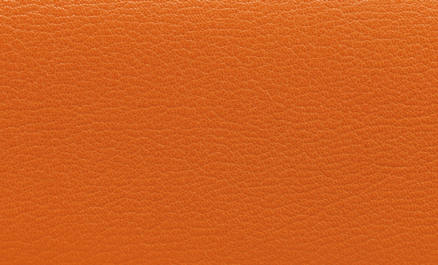 Chèvre leather