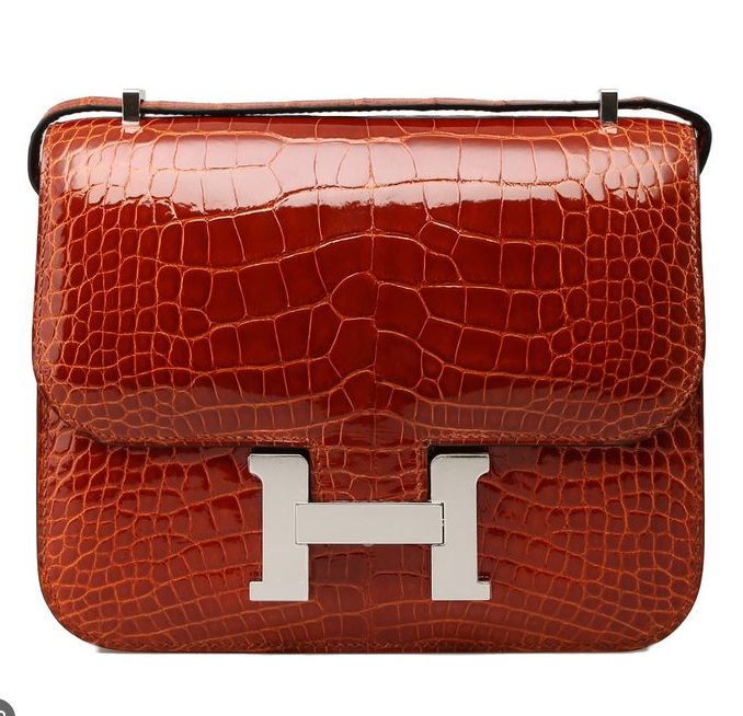 Constance 18 in Alligator
