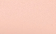 P1 - Rose Églantine in swift