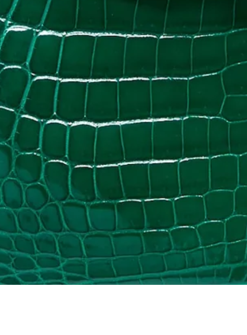Shiny Crocodile