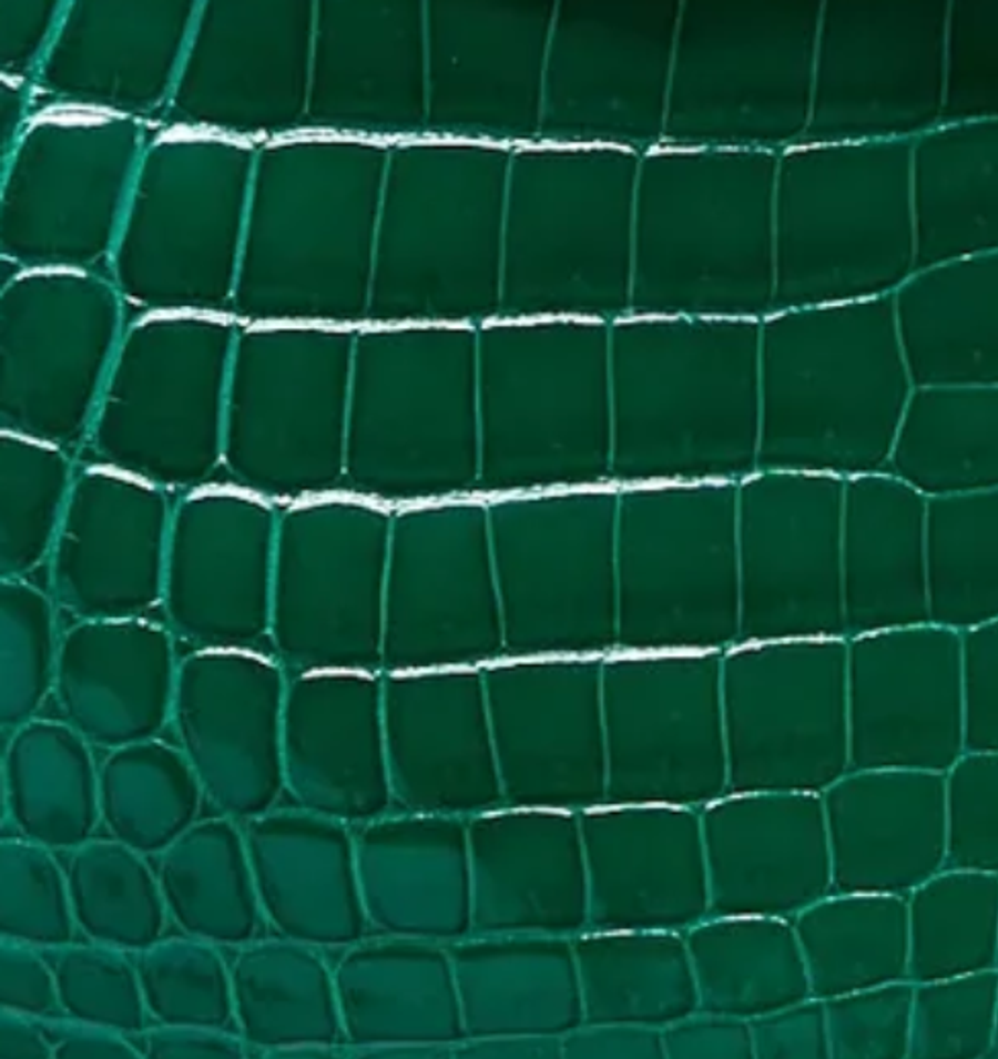 Shiny Crocodile