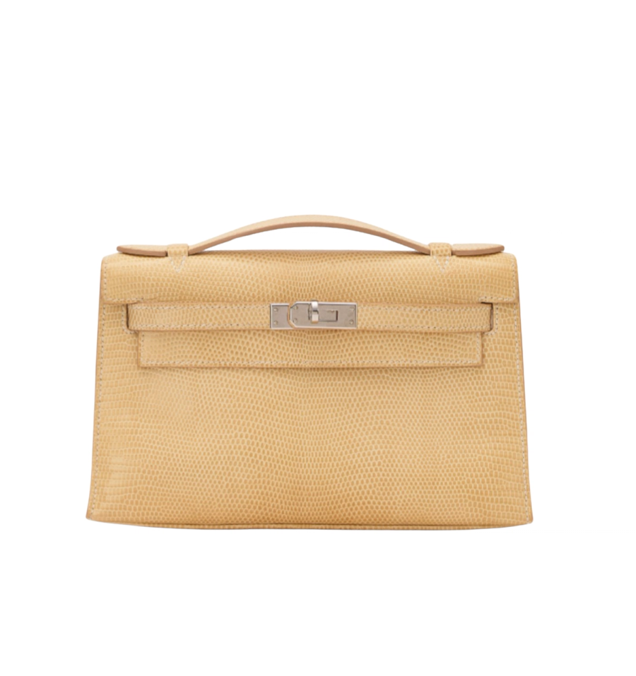 kelly pochete in niloticus Lizard
