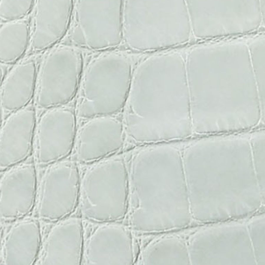 Matte Alligator
