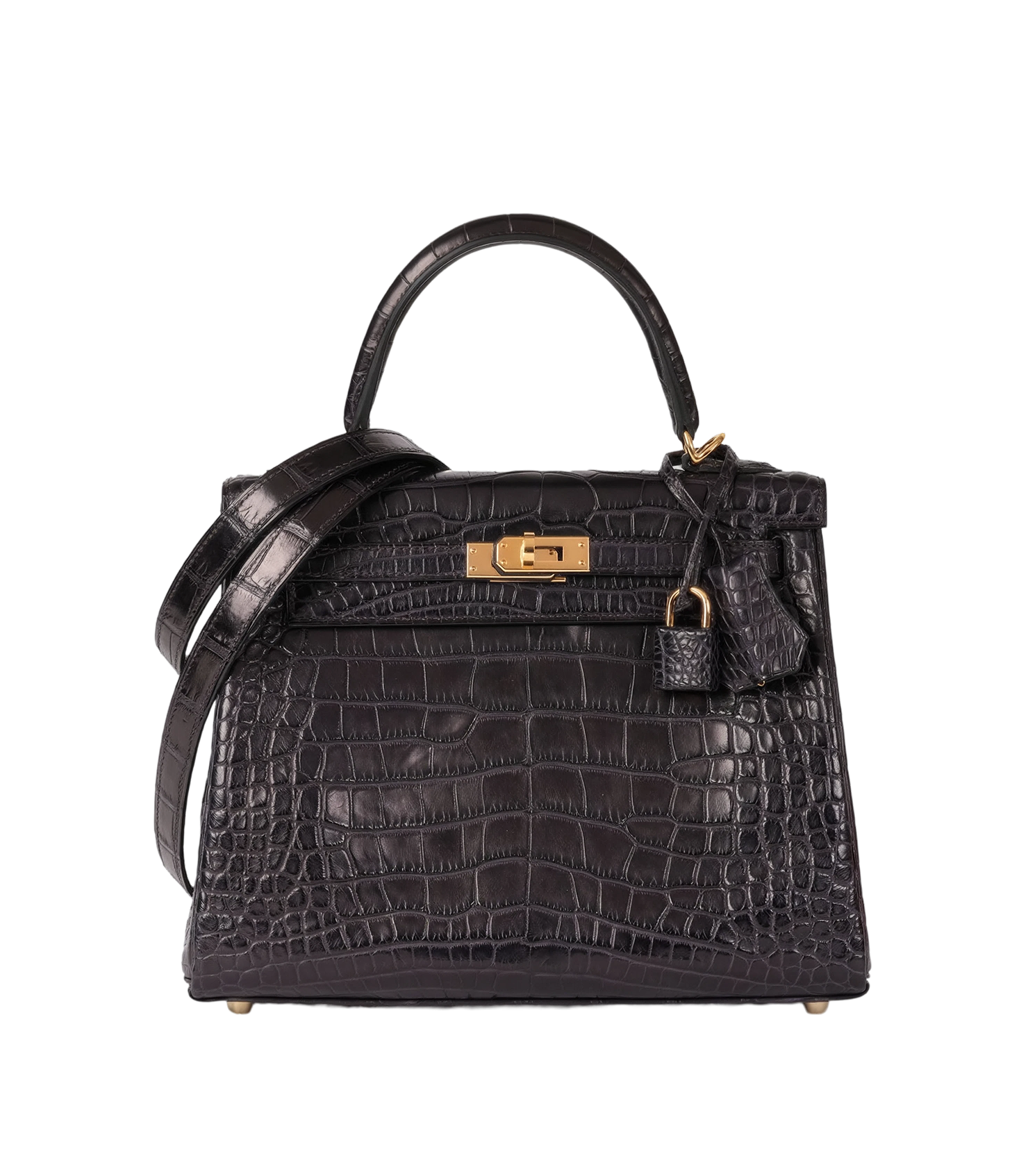 Kelly 25 in Alligator