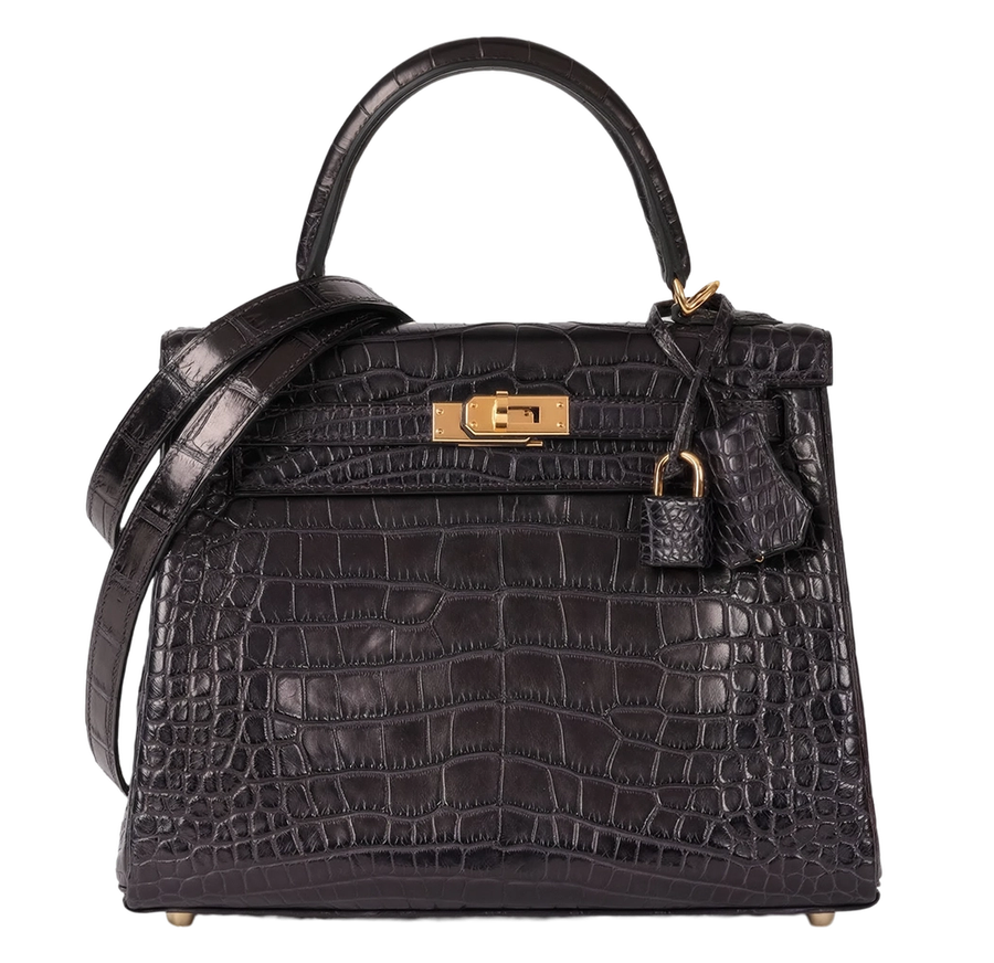 Kelly 25 in Alligator