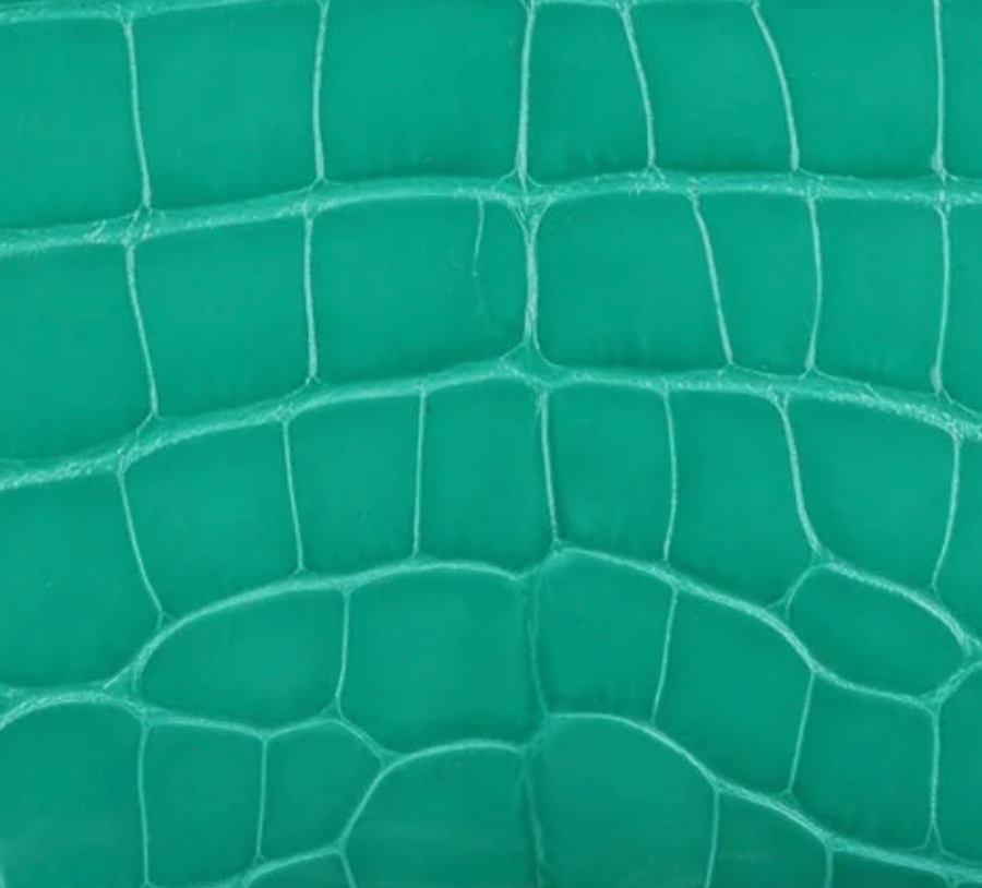 Shiny Alligator
