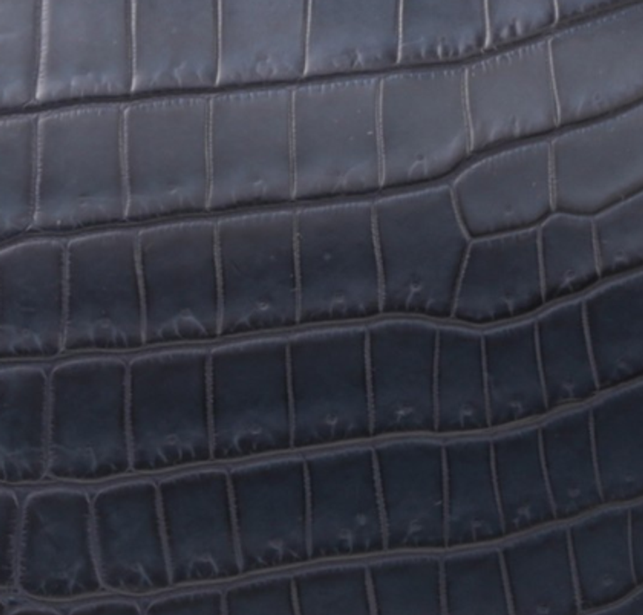 Niloticus Crocodile