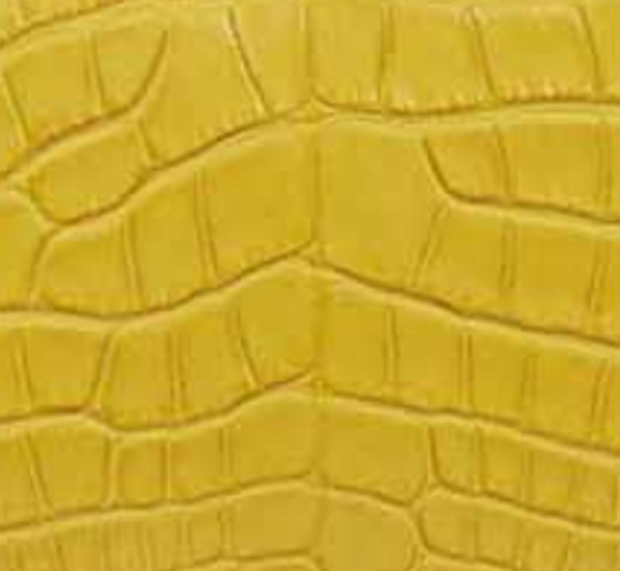 Matte Alligator 