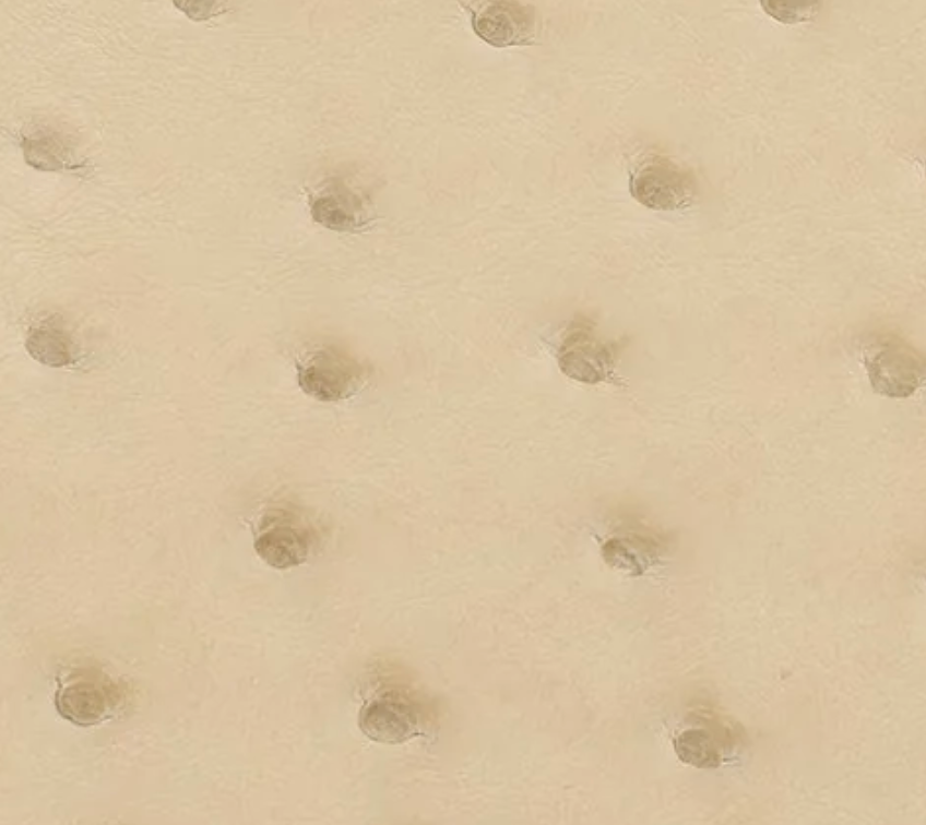 3Z - PARCHEMIN in ostrich