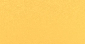 T2 - Jaune Mango in epsom