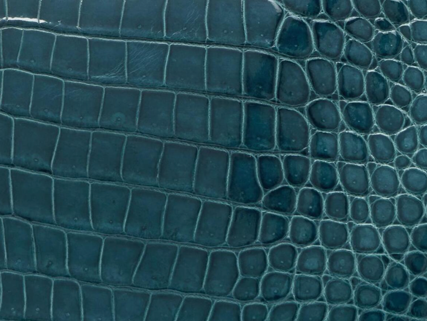 1P - BLEU COLVERT IN Shiny Porosus Crocodile