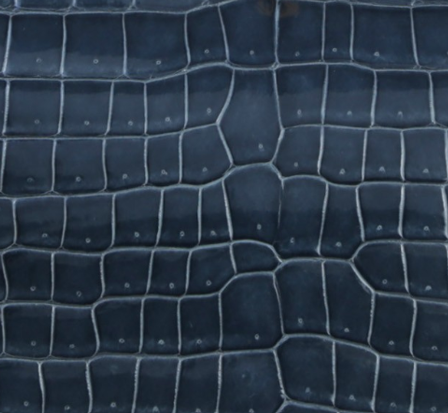 Crocodilo Porosus