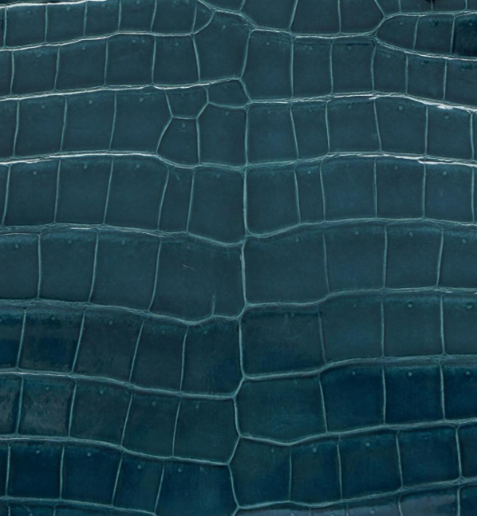 1P - Bleu Colvert IN Matte Alligator