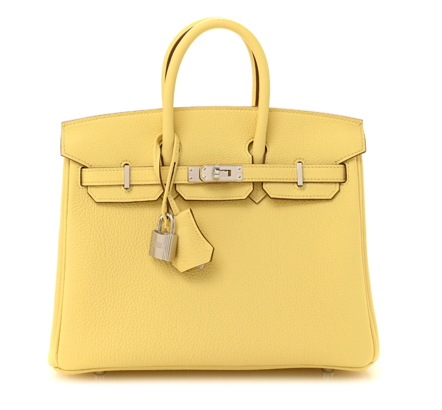 Birkin in togo