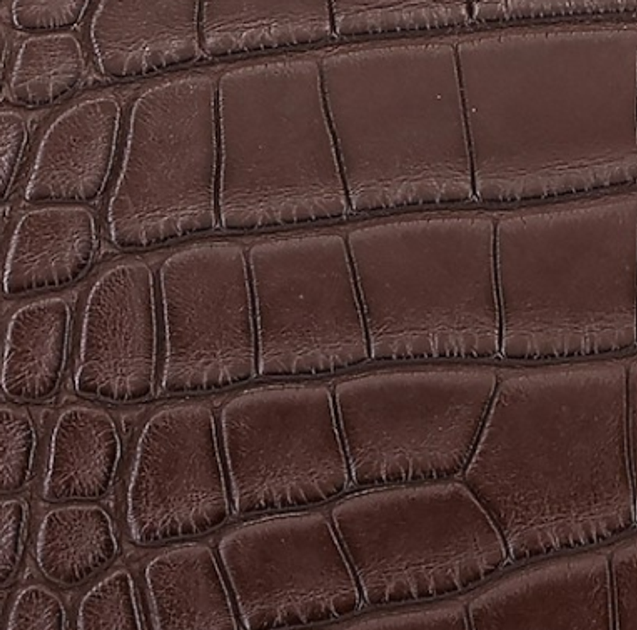 Alligator