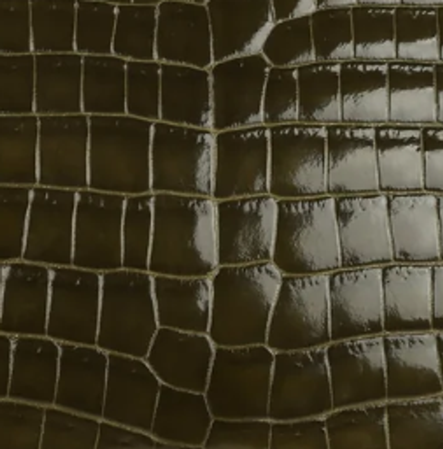 Shiny Niloticus Crocodile 