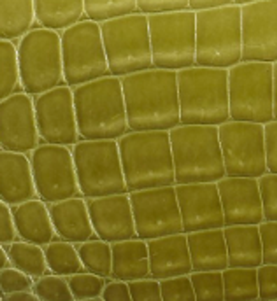 Crocodile