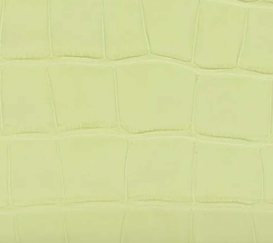 Matte Alligator