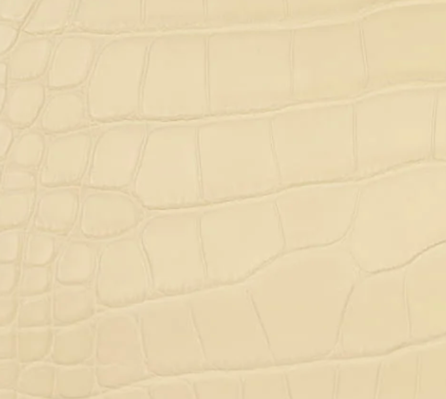 Matte Alligator
