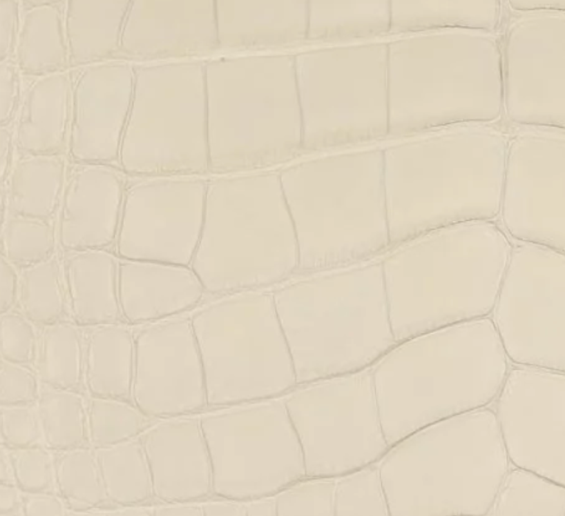 Matte Alligator