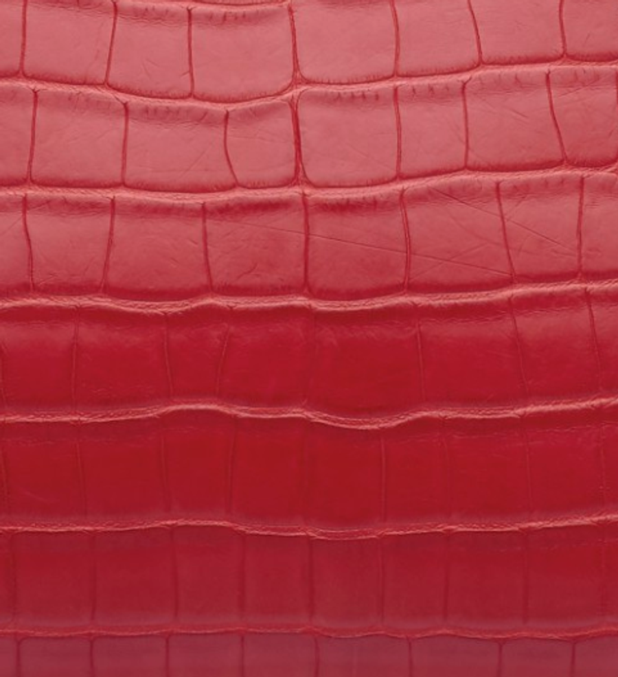Matte Alligator