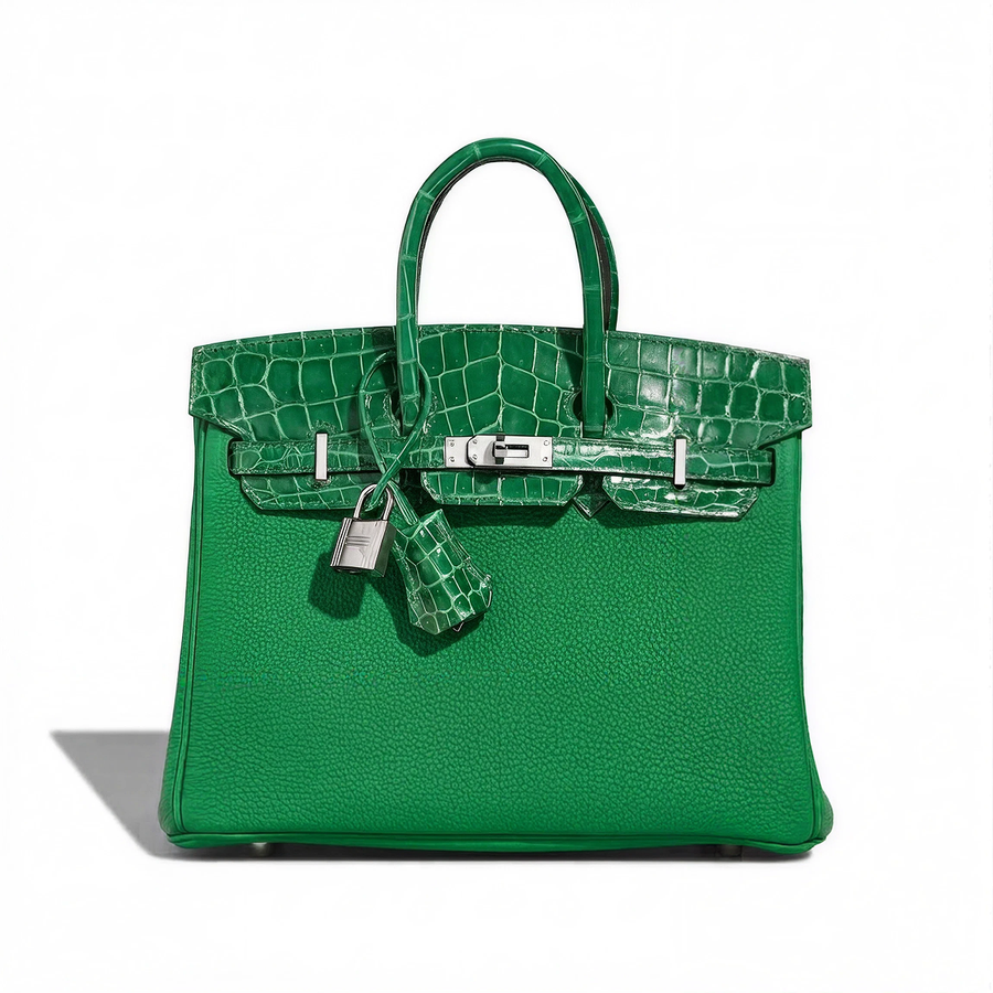 Birkin 25 in Togo & Crocodile Niloticus