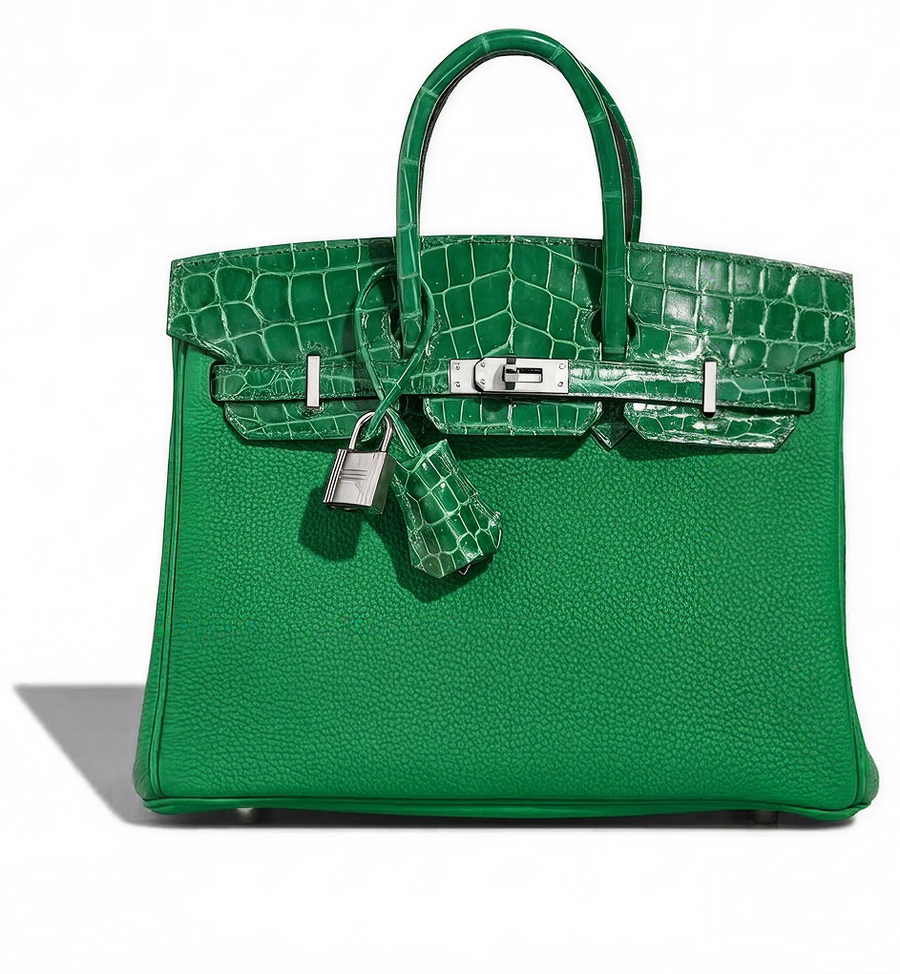 Birkin 25 in Togo & Crocodile Niloticus