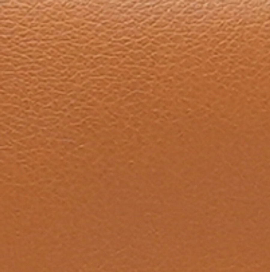 Evercolor
