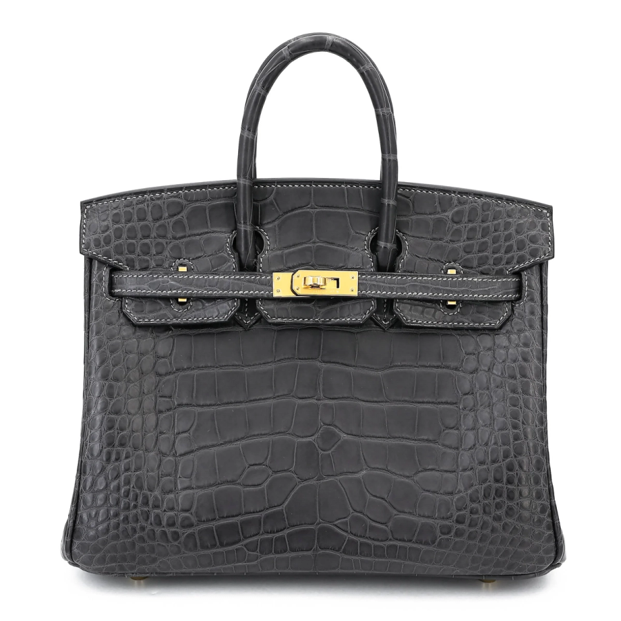 Birkin 25 in Crocodile Matte