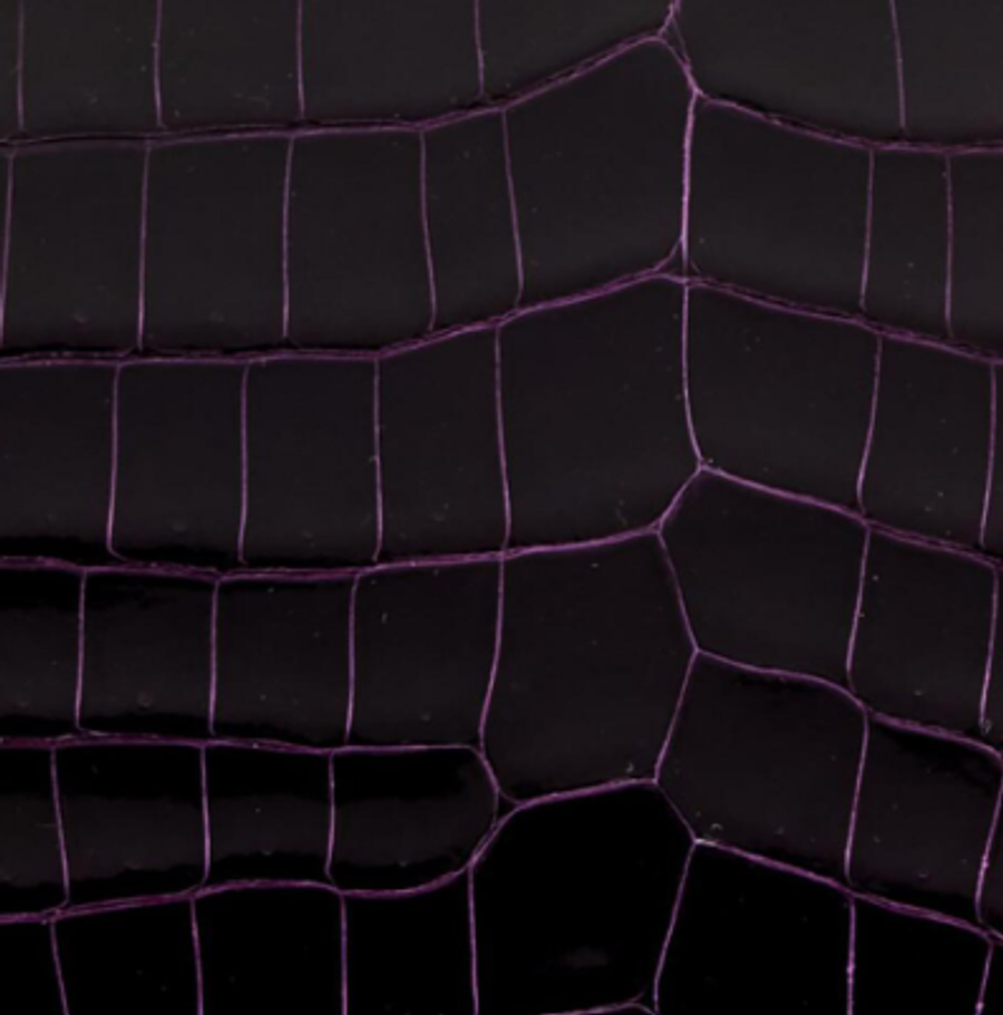 Shiny Niloticus Crocodile