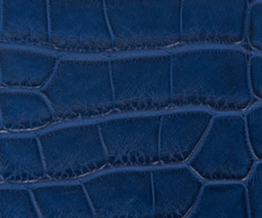 Mississippiensis Alligator