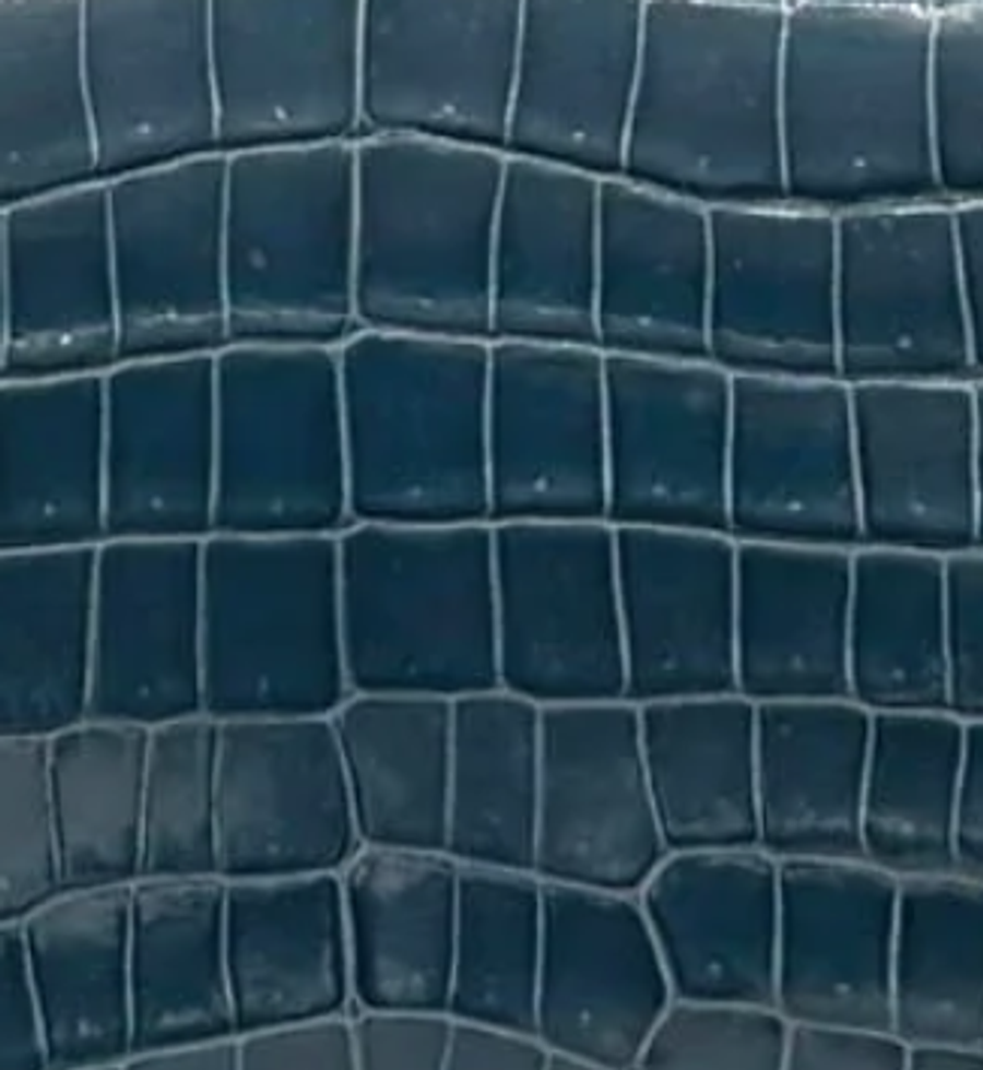 Niloticus Crocodile
