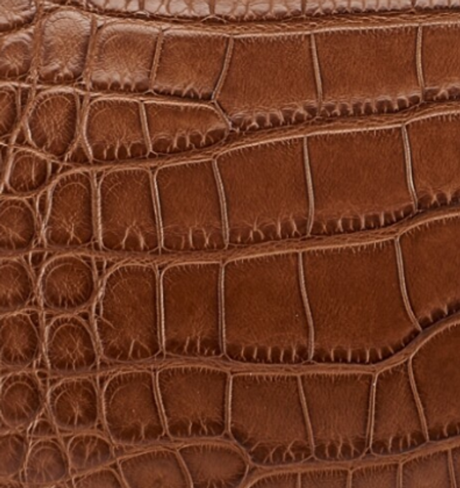 Matte Alligator
