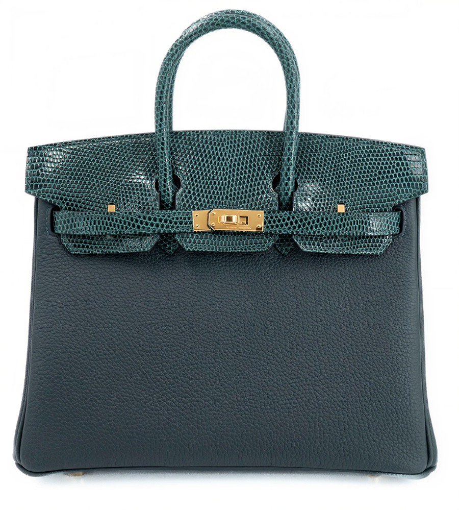Birkin 25 in Shiny Lizard & Togo