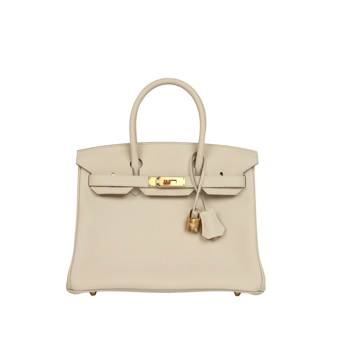 Birkin in togo