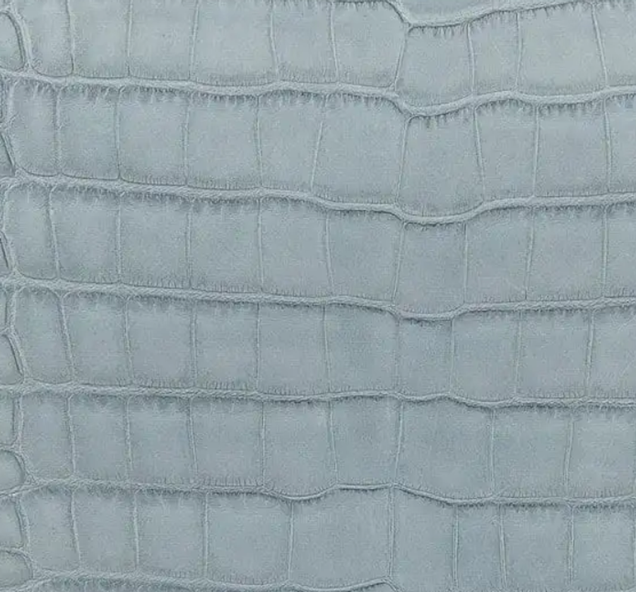 Alligator