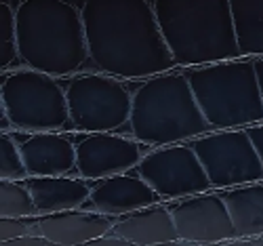 Niloticus Crocodile