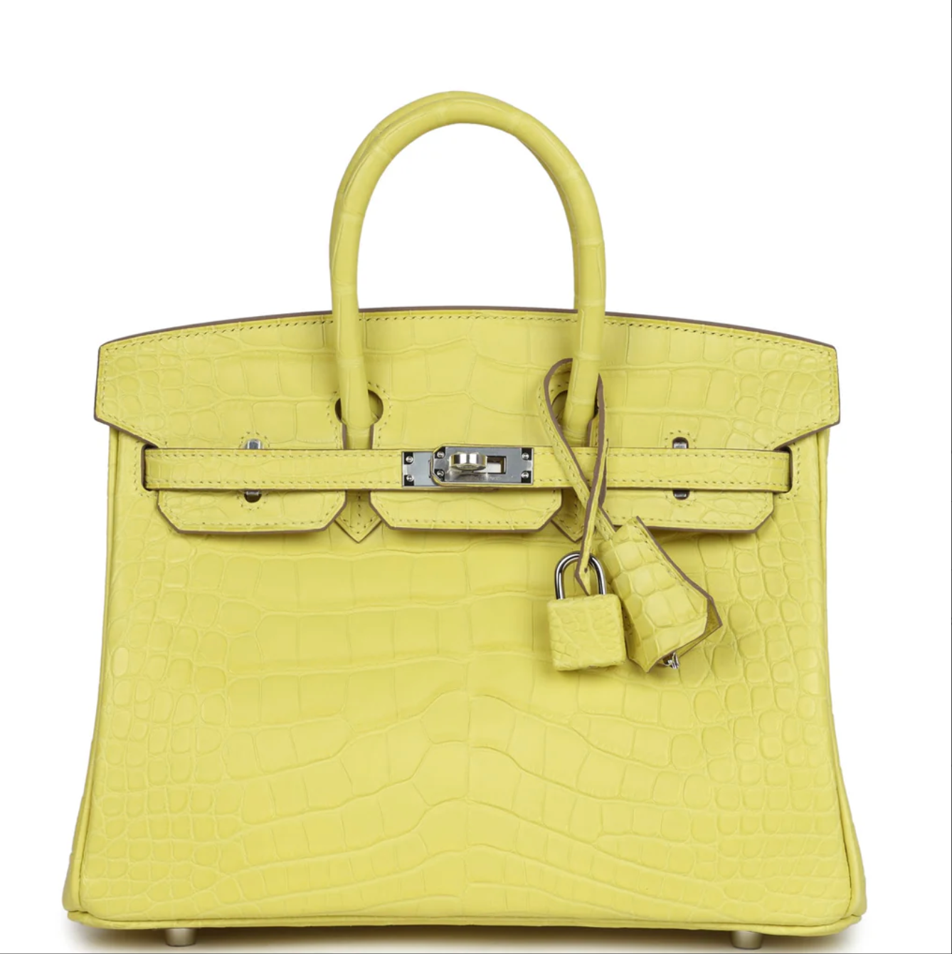 Birkin in  Matte Alligator