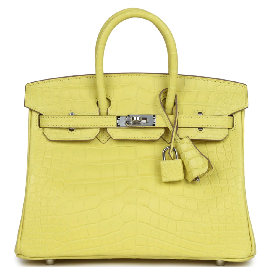 Birkin in  Matte Alligator