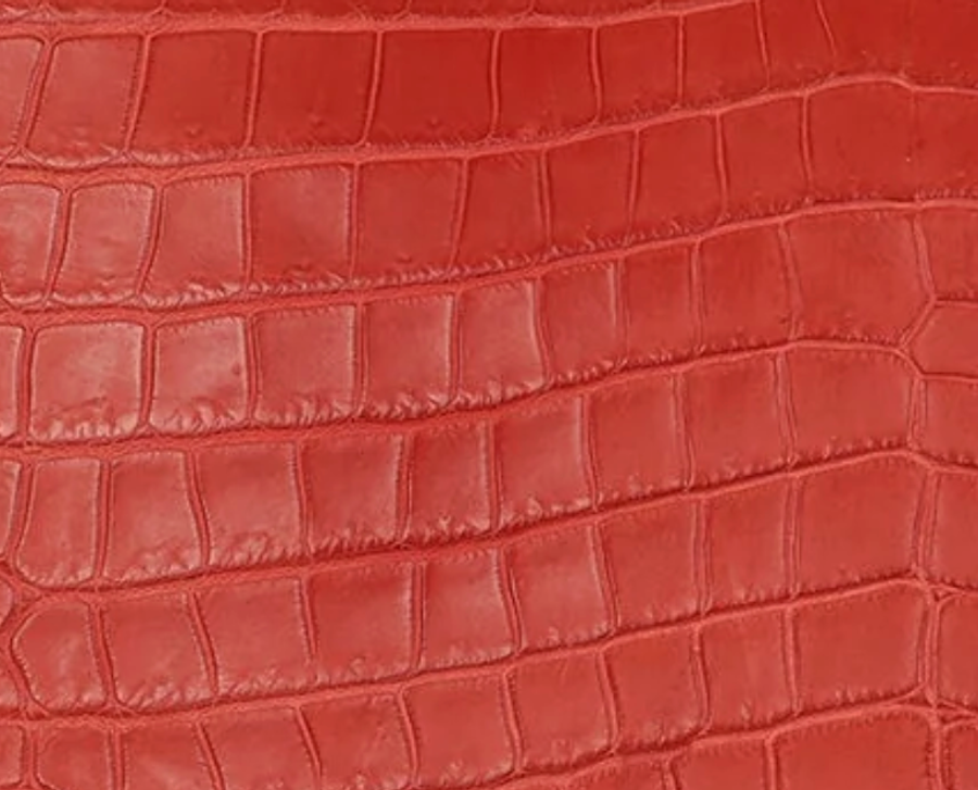 Matte Porosus Crocodile