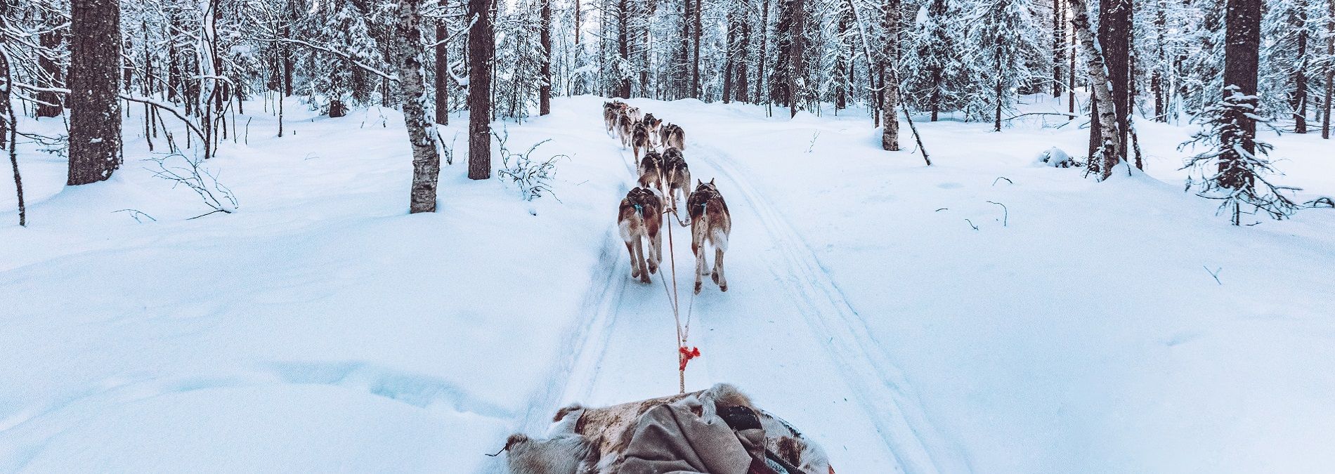 image principale du voyage Séjour multi-activités en Laponie finlandaise