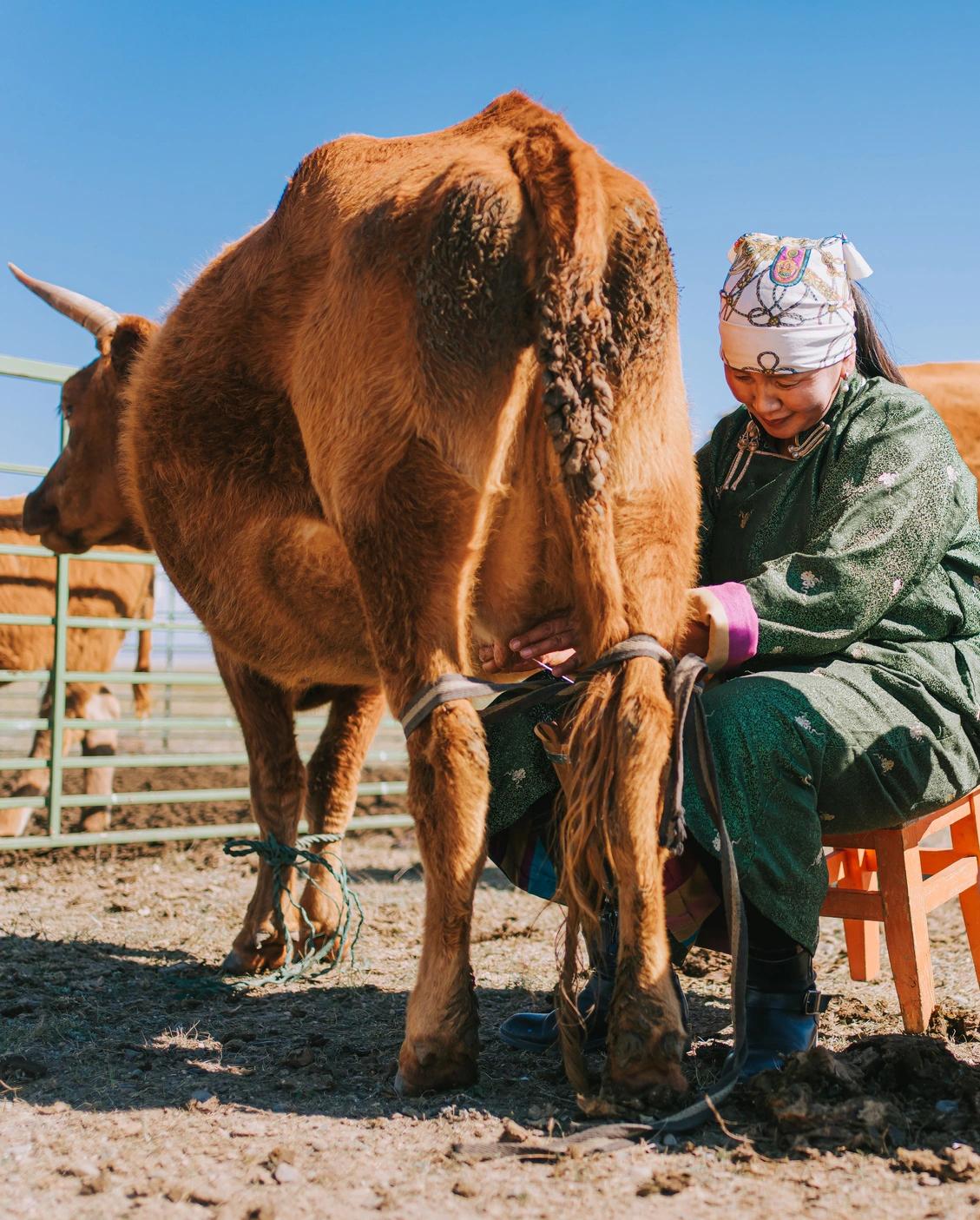 image secondaire du voyage Partagez le quotidien des nomades des steppes mongoles
