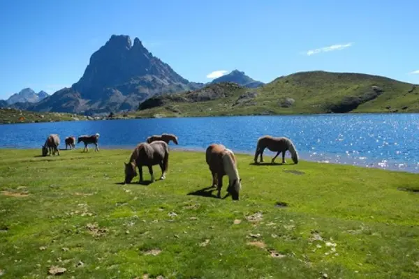 Pyrénées