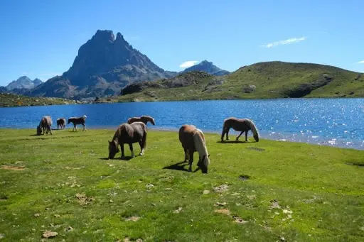 Pyrénées