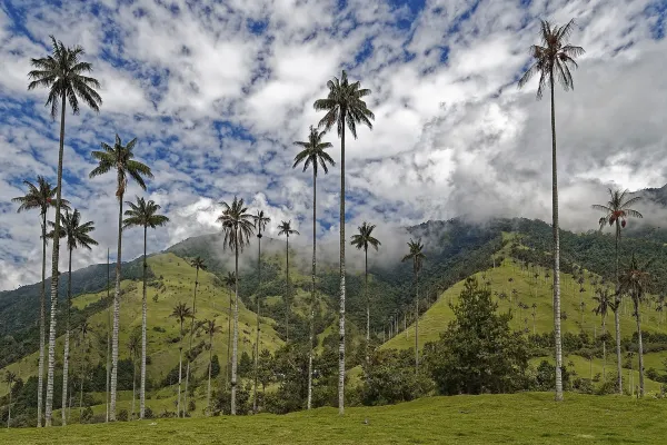 Colombie