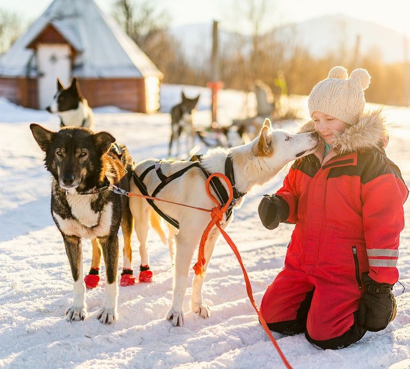 enfant avec chien de traineau