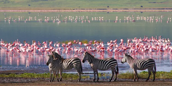 Tanzanie