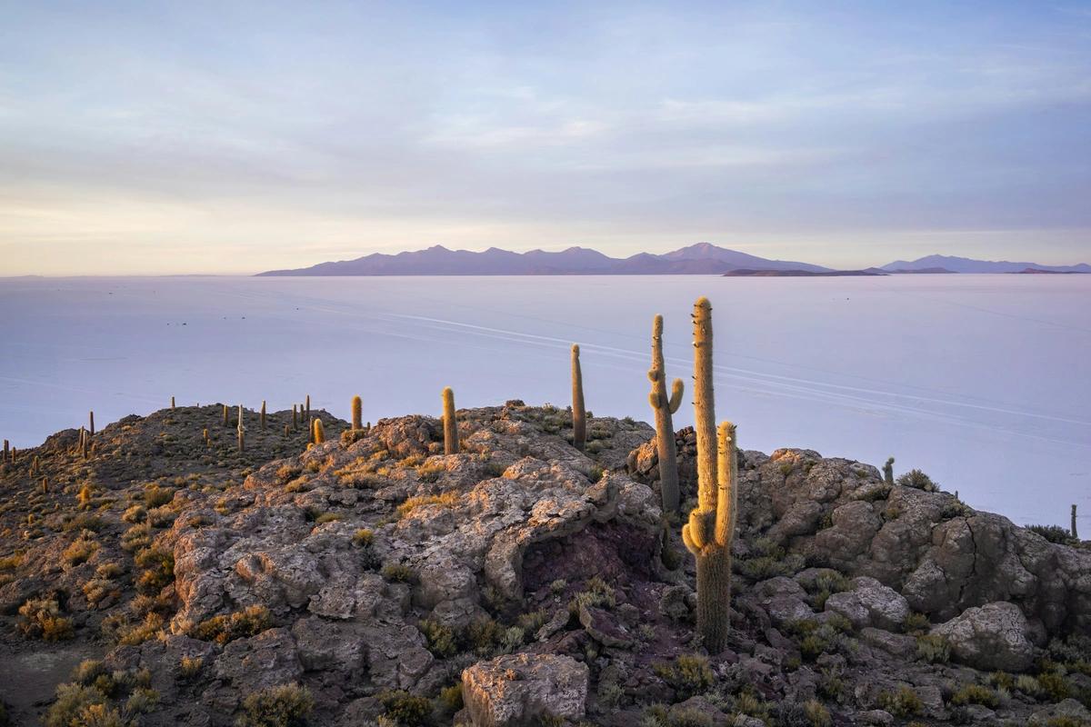 Image principale du blog Voyage en Bolivie : salar d'Uyuni, lac Titicaca et rencontres andines